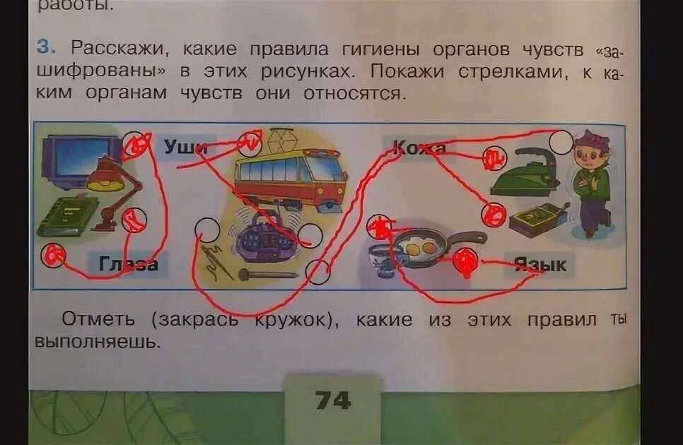 Расскажи какие правила гигиены органов чувств. Расскажите какие правила гигиены органов чувств зашифрованы. Какие правила гигиены органов чувств зашифрованы в рисунках. Какие органы чувств зашифрованы в рисунках.