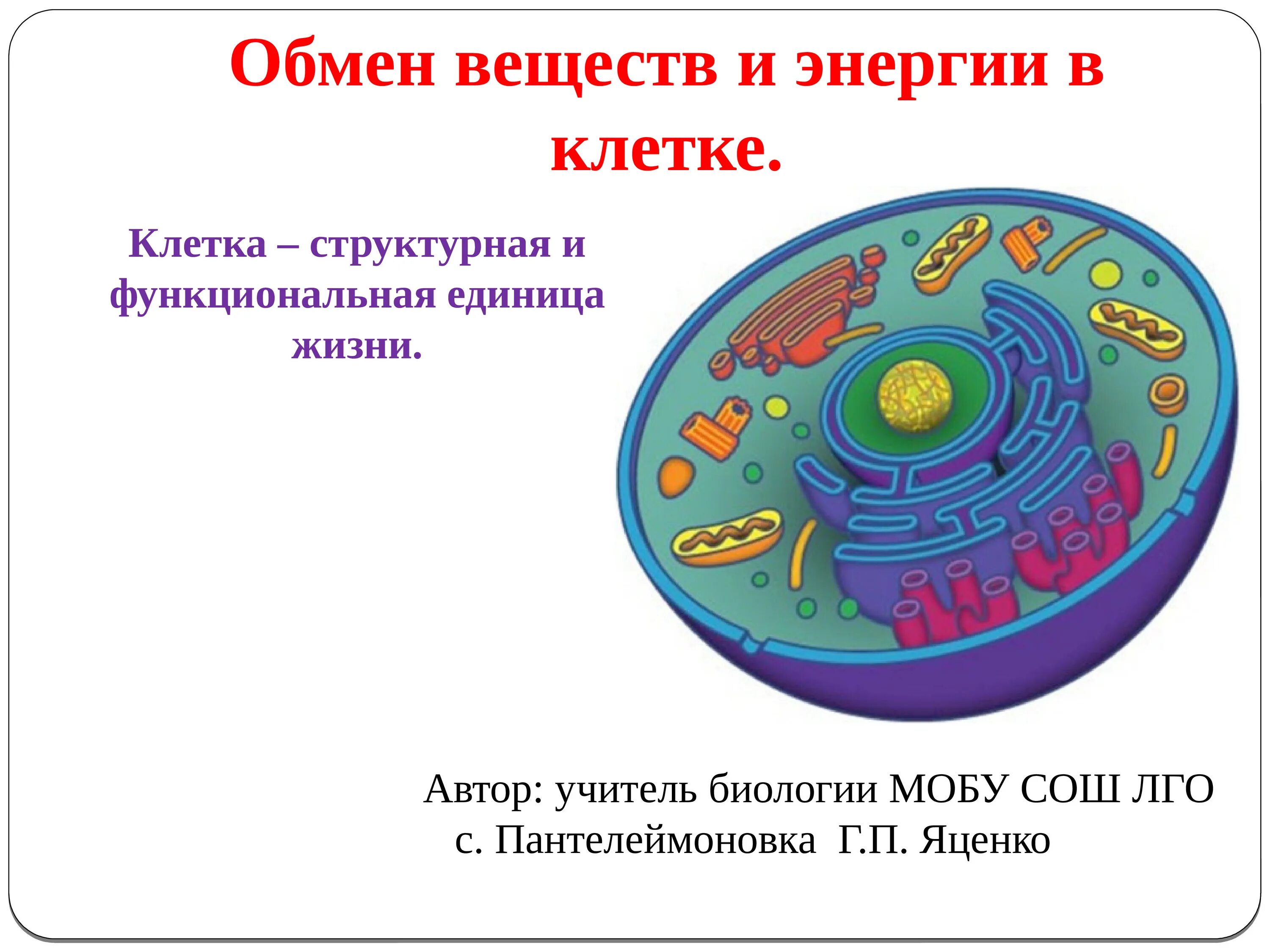 Энергия живых клеток организма. Обмен веществ и энергии.