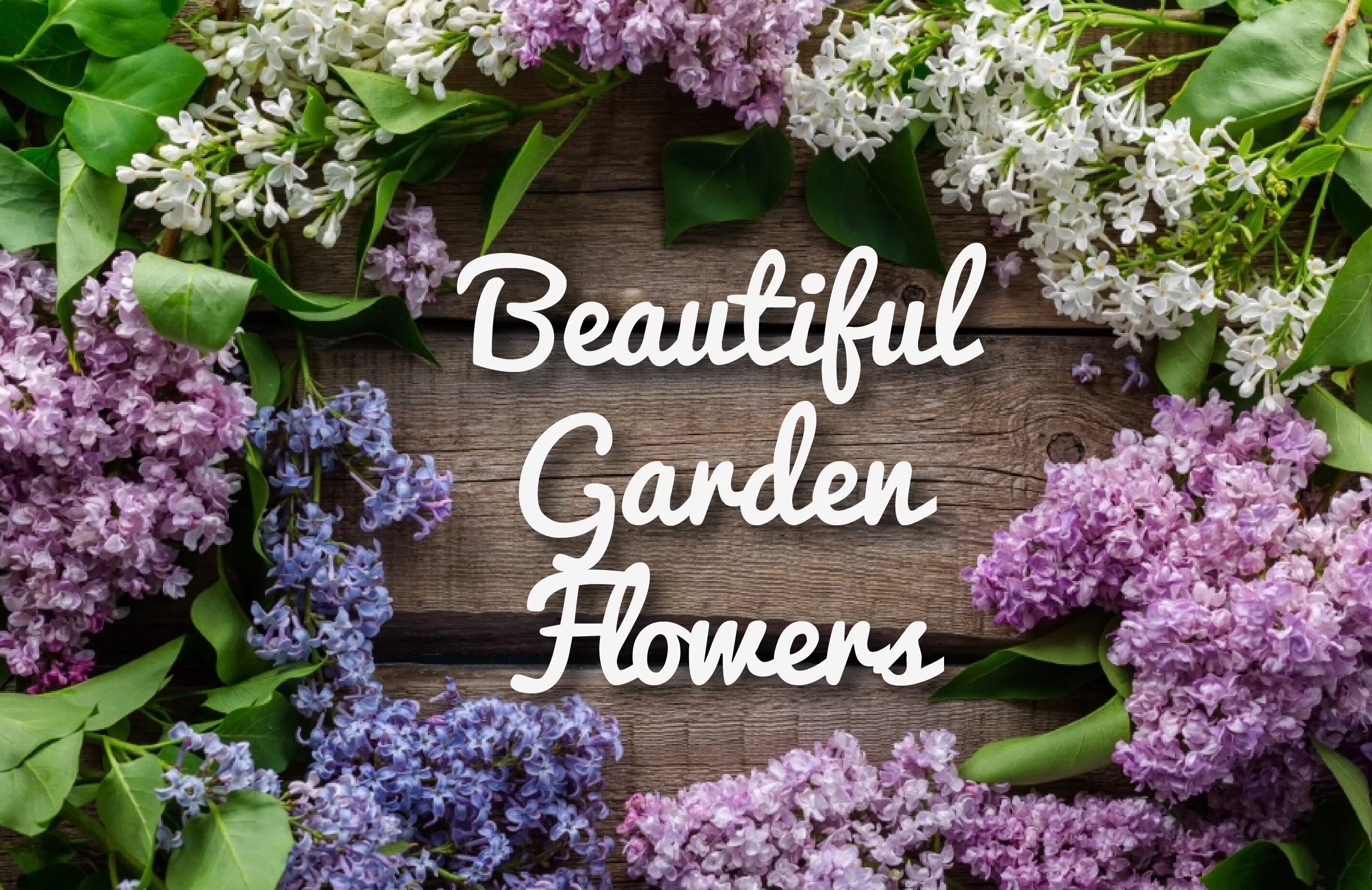 Май природа. Май бьютифул. Sunny beautiful. Весенние цветы. Полина недялкова.