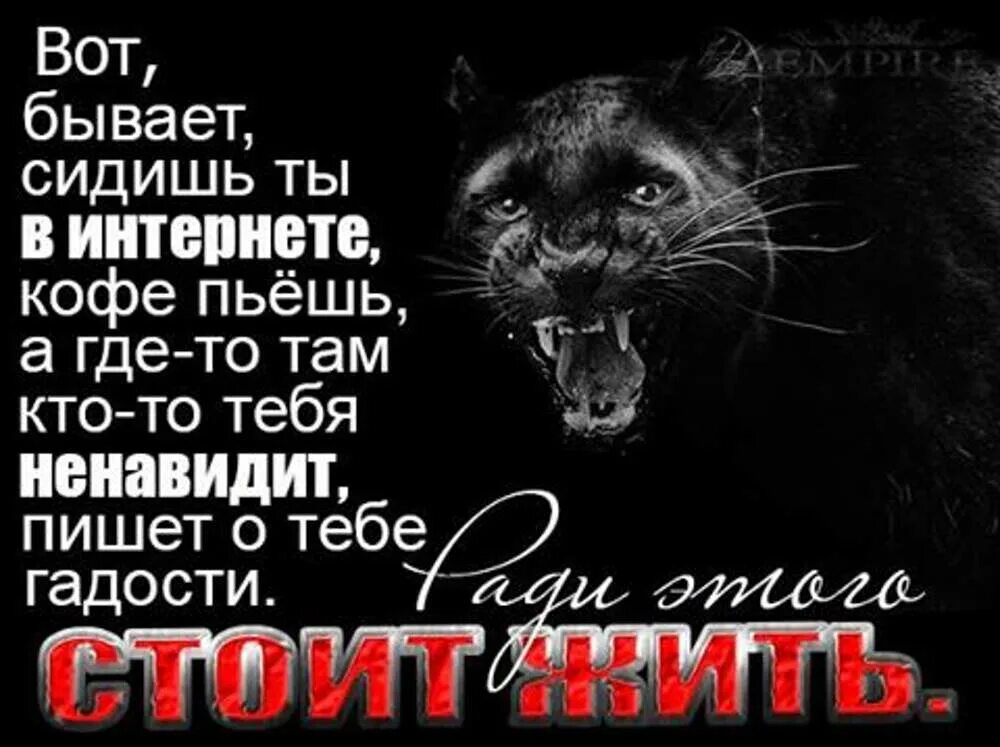 Статусы про двуличных. Цитаты про лицемеров. Ненавижу лицемеров. Статусы про ложь. Ненавижу лицемеров.