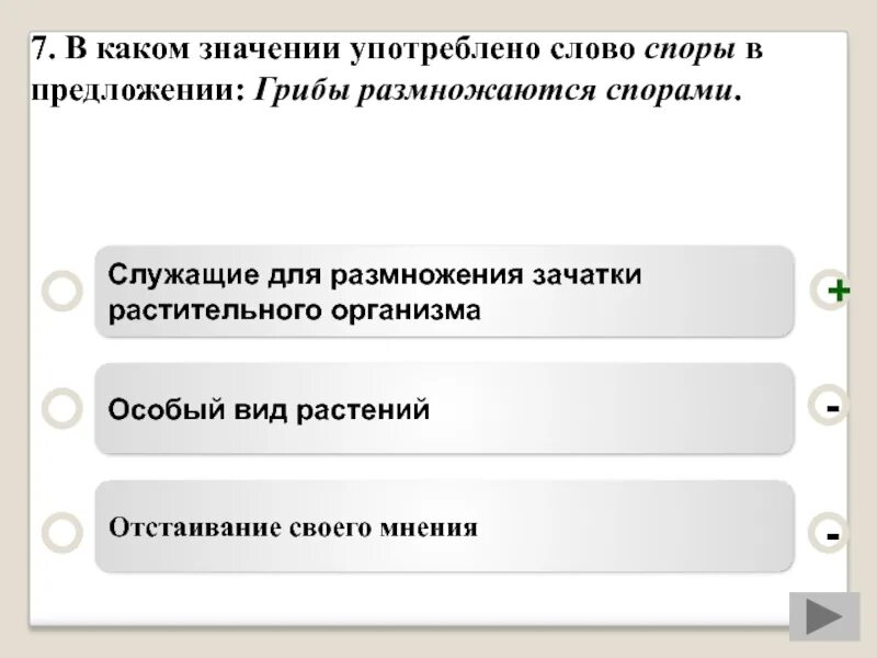 Споры служат для размножения у кого. Предложение со словом полемика. Предложение со словом диспут. Обозначение слово споро. Предложение со словом спор