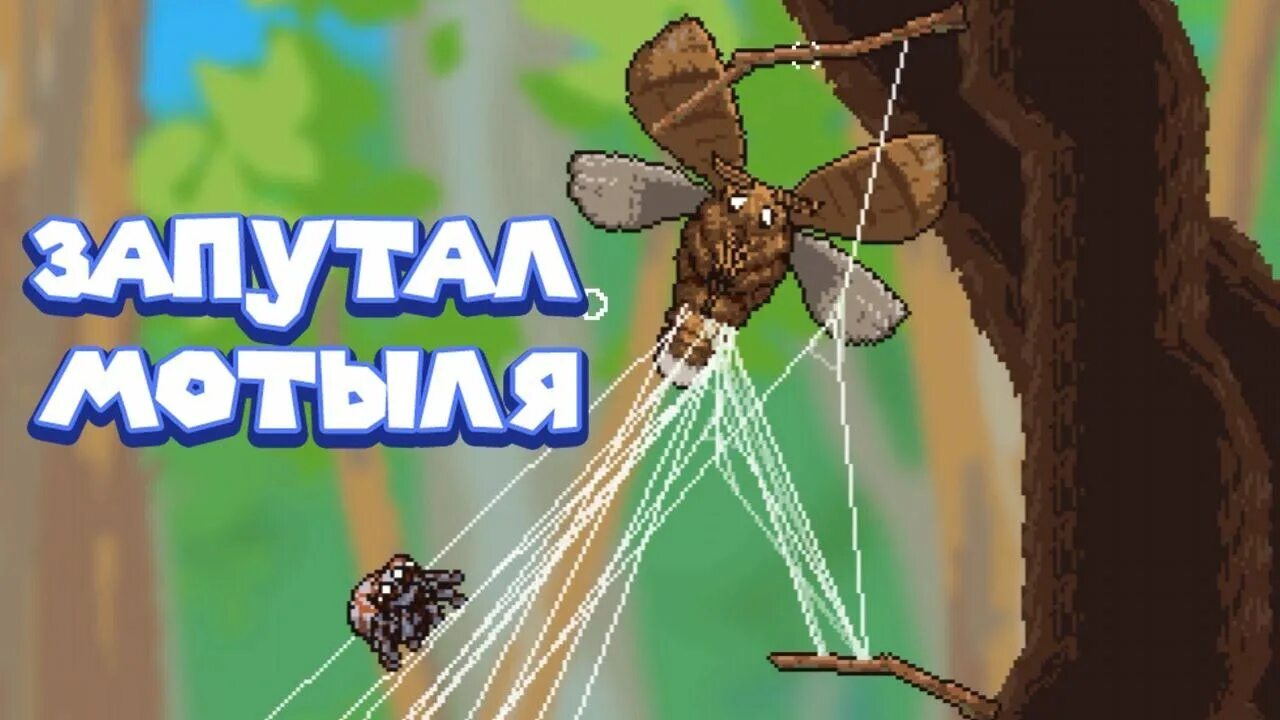 Игра просто пауки. Пау пау игра. Игра про паучка. Webbed паучок. Игра про паучка webbed.