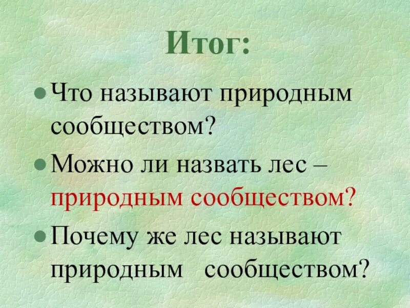 Почему лес называют сообществом 2 класс рассказ. Почему лес называют природным сообществом. Сообщение почему лес называют сообществом. Почему лес называют сообществом 2 класс. Рассказ почему лес называют сообществом.