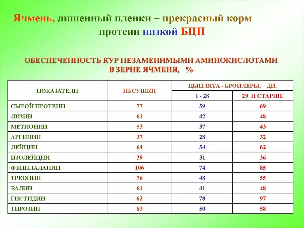 Белки ячменя. Содержание белка в зерне ячменя. Белок в ячмене. Ячмень протеин. Содержание протеина в ячмене.