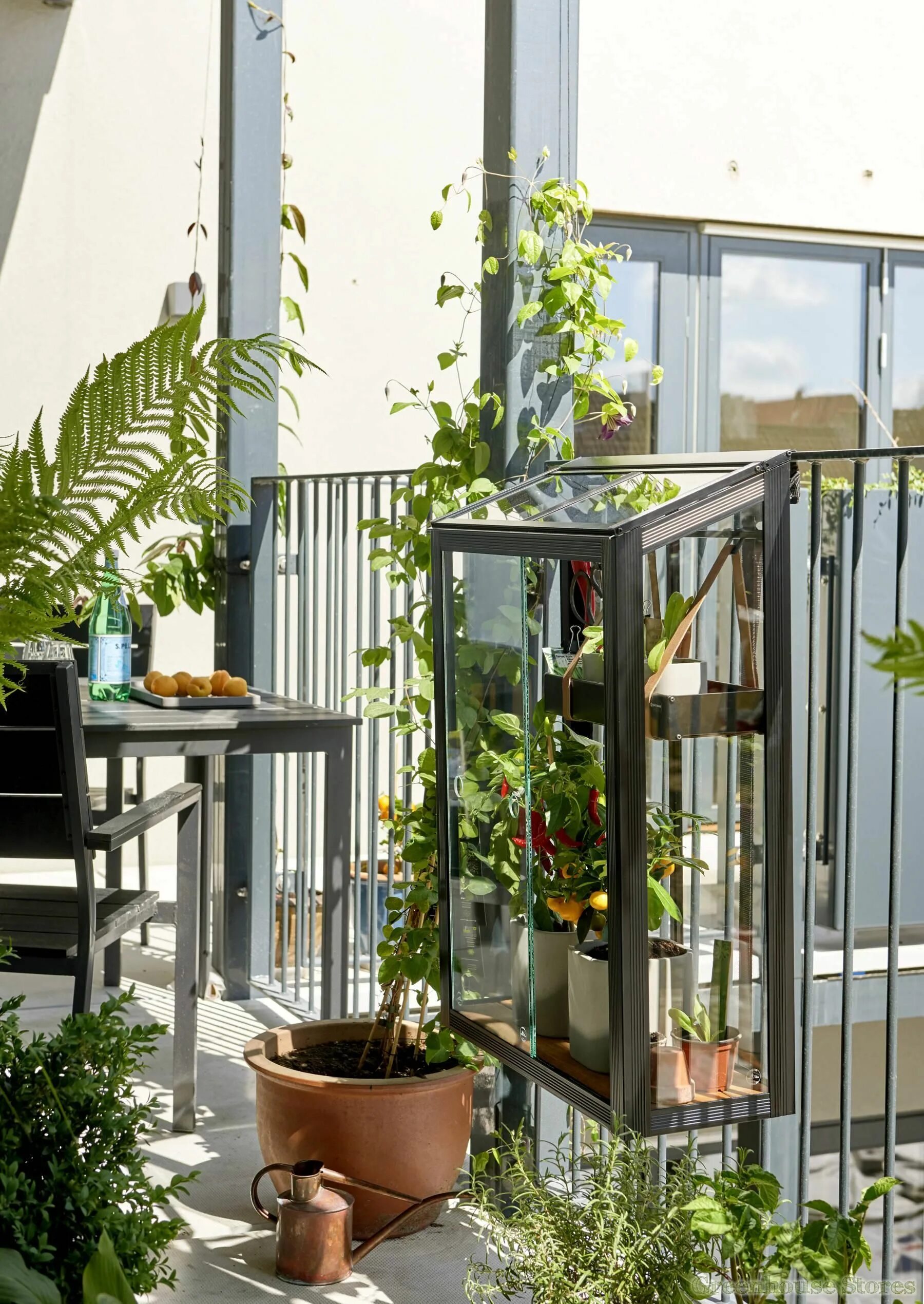 Теплица на балконе. Сад оранжерея на балконе. Мини оранжерея на балконе. Парник для балкона.