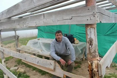 Погода дмитриевы горы