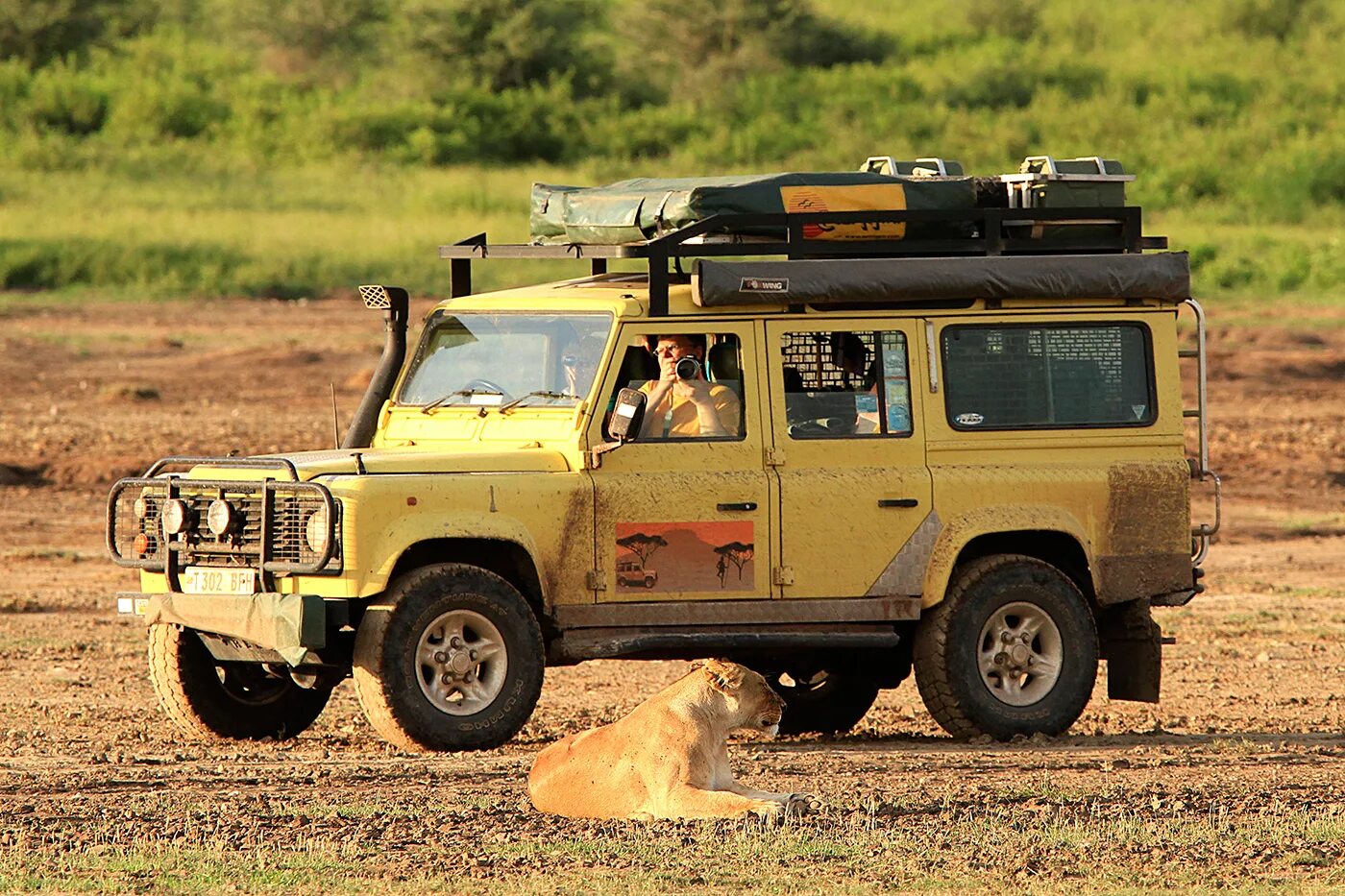 Ленд Ровер Дефендер сафари. Дефендер ленд Ровер Safari. Рендж Ровер сафари. Land Rover Defender 110 белый сафари. Defender typhoon