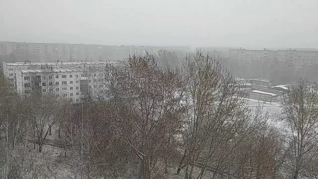 Климат Заринска. Погода Заринск Алтайский сегодня. Погода на сегодня в Заринске Алтайского края. Погода в Заринске Алтайского края. Погода заринск на 10 дней точный прогноз