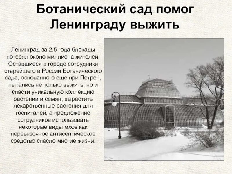 Юннаты блокадного ленинграда 7 класс. Ботанический сад в годы блокады Ленинграда. Ботанический сад СПБ В годы блокады. Ученые биологи в блокадном Ленинграде.