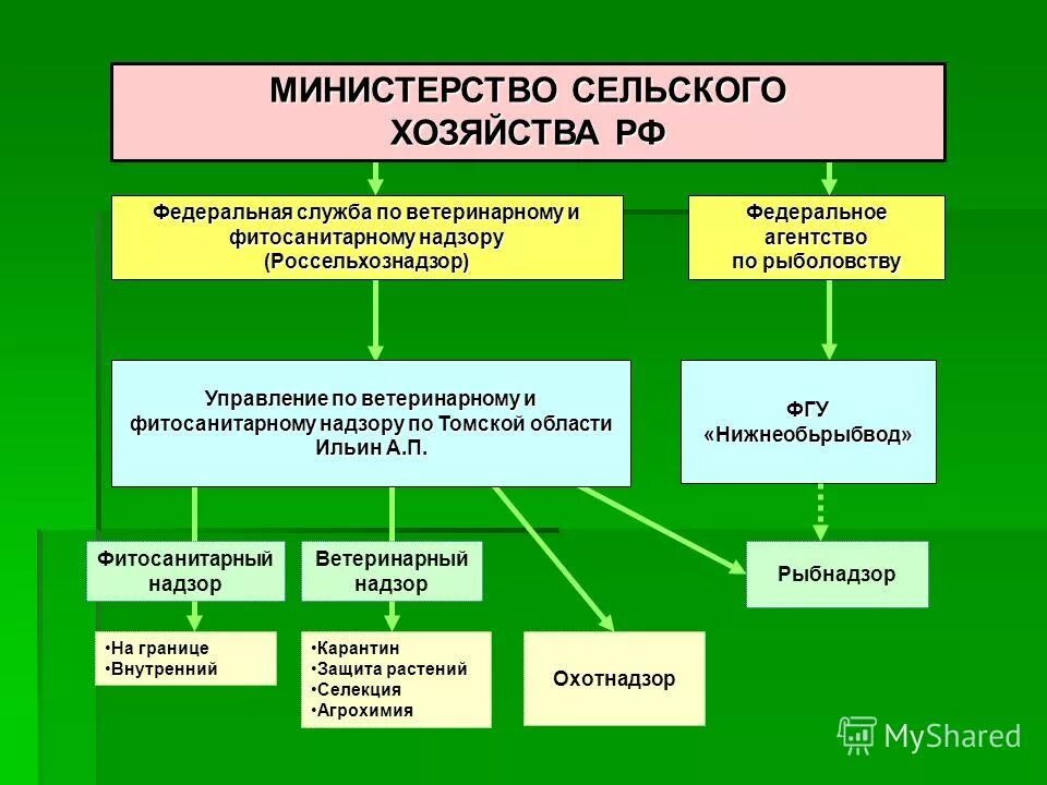 База ведомства. Структура организации ветеринарии в РФ. Схемы: «структура государственной ветеринарной службы РФ». Структура Министерства сельского хозяйства. Организационная структура Министерства сельского хозяйства.