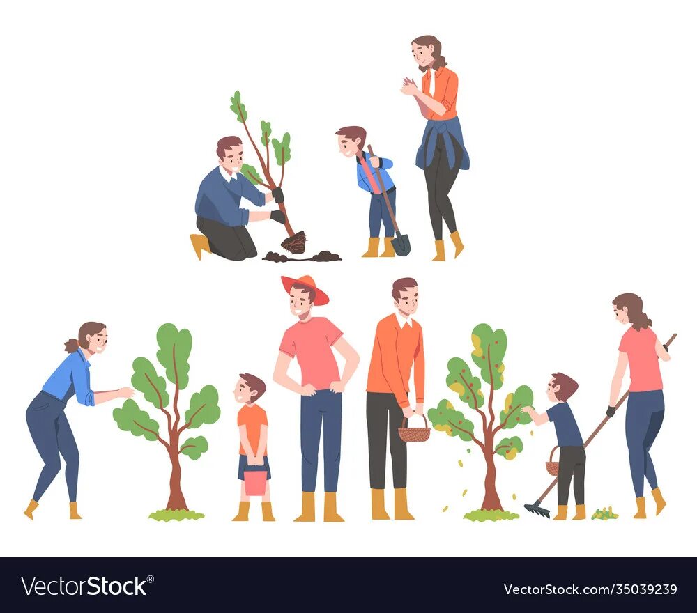 Семьи посадили деревья. Посадка дерева векторна. Высадка деревьев иллюстрация. Семья сажает дерево. Семья на фоне посаженных деревьев.