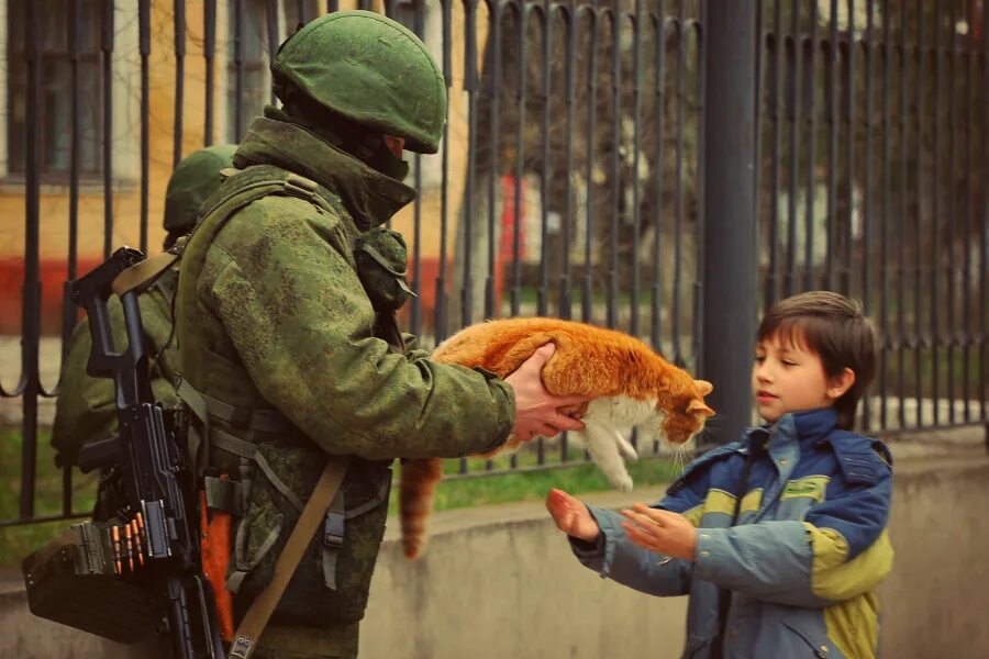 Вежливые люди. Русский солдат с котом. Вежливый солдат с котом. Вежливые люди с котом. Российский вежливо