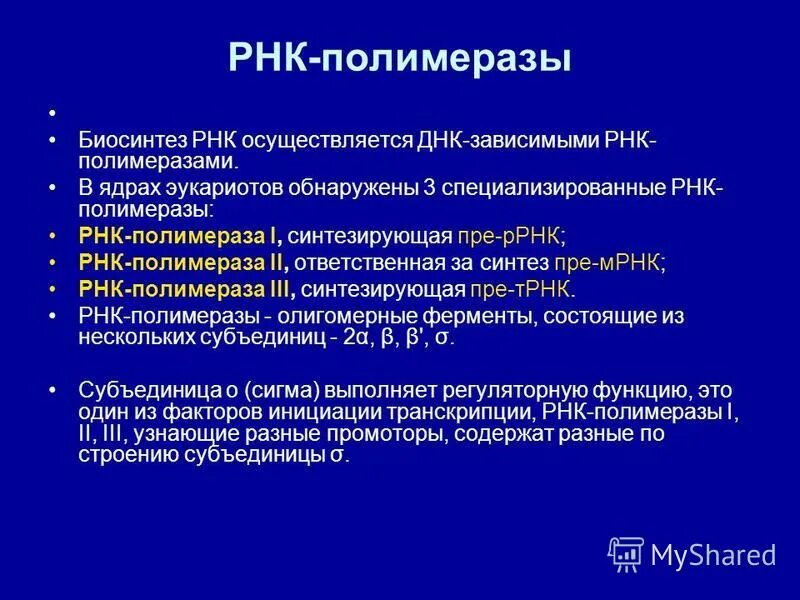 Рнк зависимая рнк полимераза