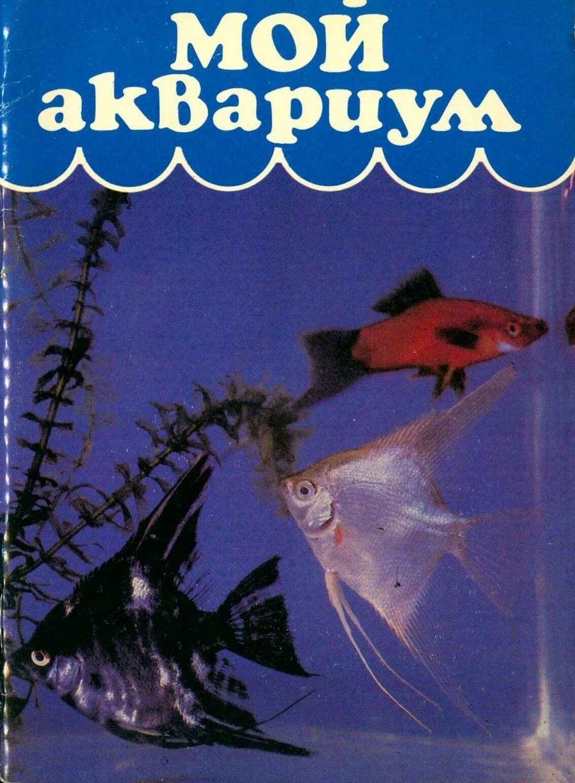 Книга аквариум отзывы. Аквариум книга. Книжки про аквариум. Мой аквариум книга.