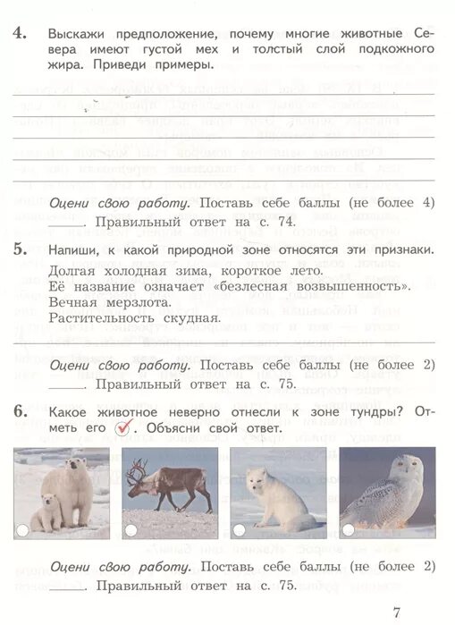 Виноградова 3 класс проверочные. Тетрадь для контрольных работ по окружающему миру 4 класс Виноградова. Окружающий мир 2 класс тетрадь для проверочных работ Виноградова. Виноградова окружающий мир 2 класс проверочные работы 2 часть. Окружающий мир 4 класс тетрадь для проверочных работ.