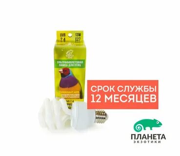 Уф лампа для птиц