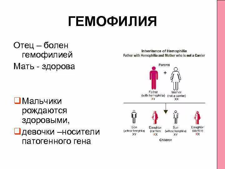 Схема наследования гемофилии. Схема наследования гемофилии у человека. Гемофилия Тип наследования признака. Гемофилия передается по наследству от отца и матери. Болезни по наследству от матери