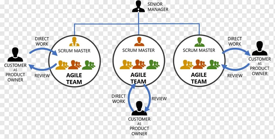 Direct masters. Скрам и аджайл. Agile Scrum команда. Иерархия Agile. Разработка программного обеспечения Scrum.