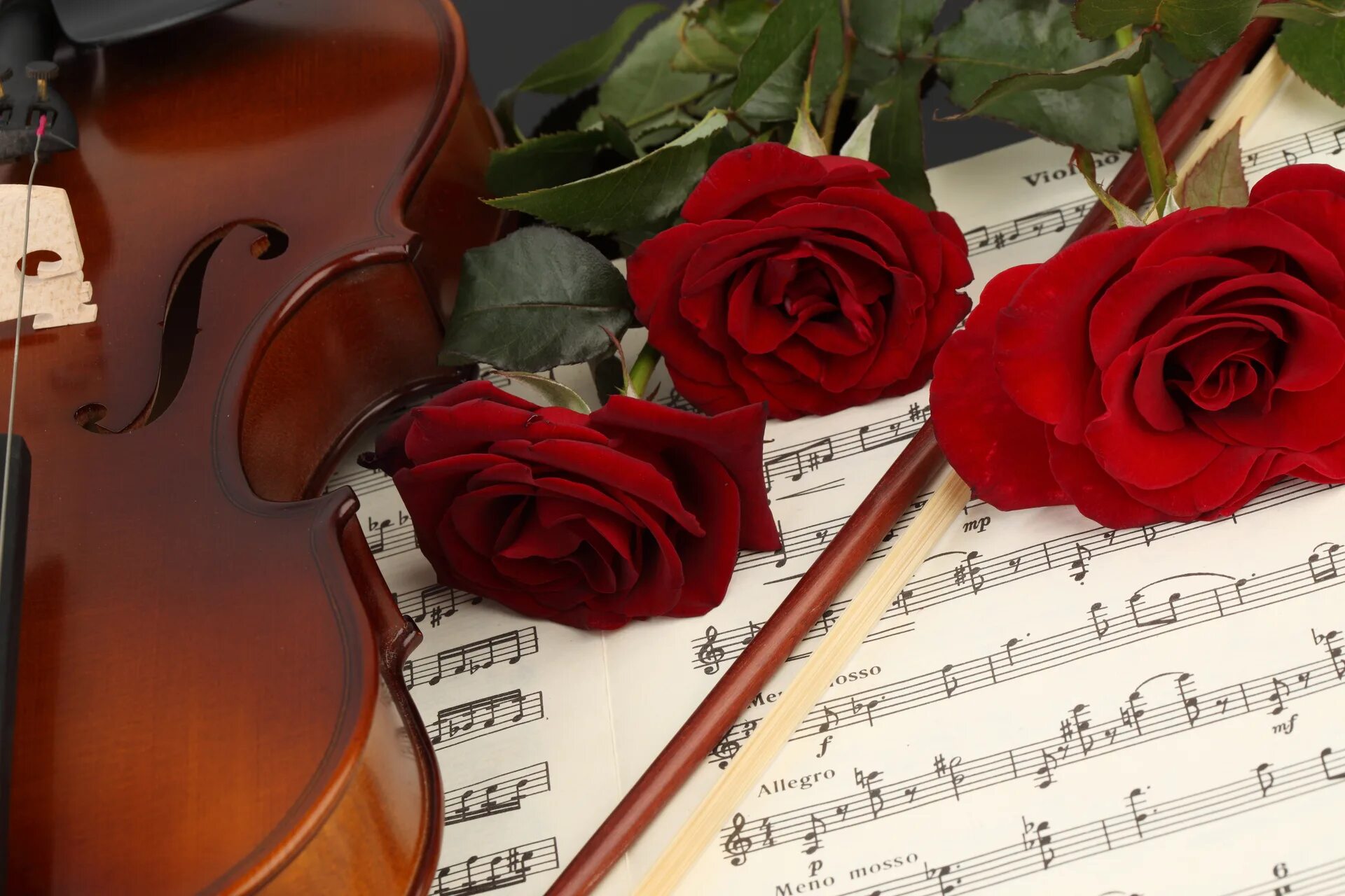 Музыкальный юбилей. Цветы для музыканта. Музыкальный цветок. Музыкальные инструменты и цветы. Скрипка и розы.