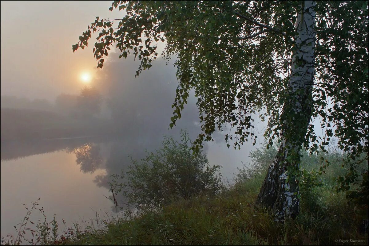 Грустные березы. Одинокая береза. Рассвет березы. Березы у реки. Одинокая береза у реки.