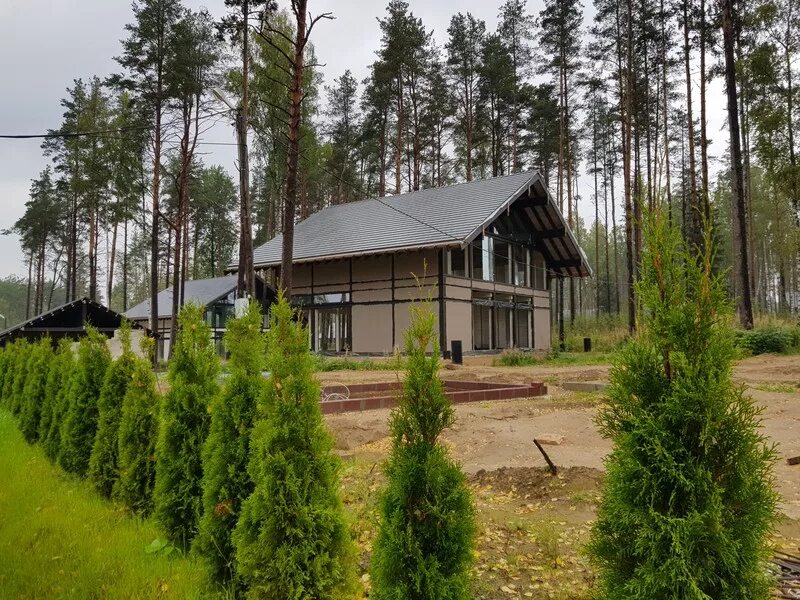 Погода в цвелодубово выборгского. Лиикола клаб Цвелодубово. Цвелодубово. Нахимовское озеро Цвелодубово. Пос Цвелодубово Выборгского района Ленинградской области.