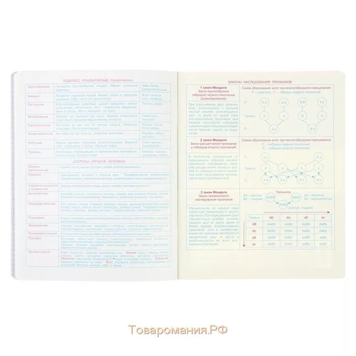 Предметная тетрадь со справочным материалом. Тетради со справочные материалом. Предметная тетрадь со шпорами. Тетрадь по алгебре со справочным материалом.