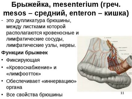Бусифицировать что это