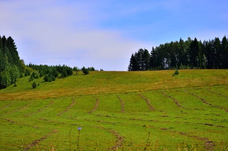 Гладкая поверхность края. Каргурезь Шарканский район. Кар гора Шарканский район. Природный парк Шаркан. Природный парк Шаркан Удмуртия.