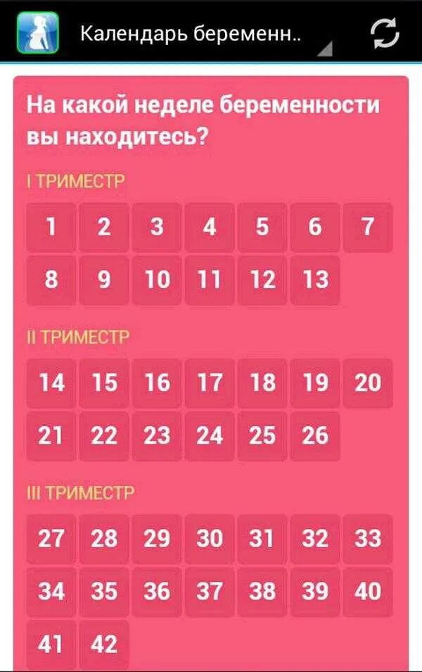 55 недель это сколько. Алендарь беременности. Календарь беременности по неделям. Календарьюеременности. Календурь бкоеменности.