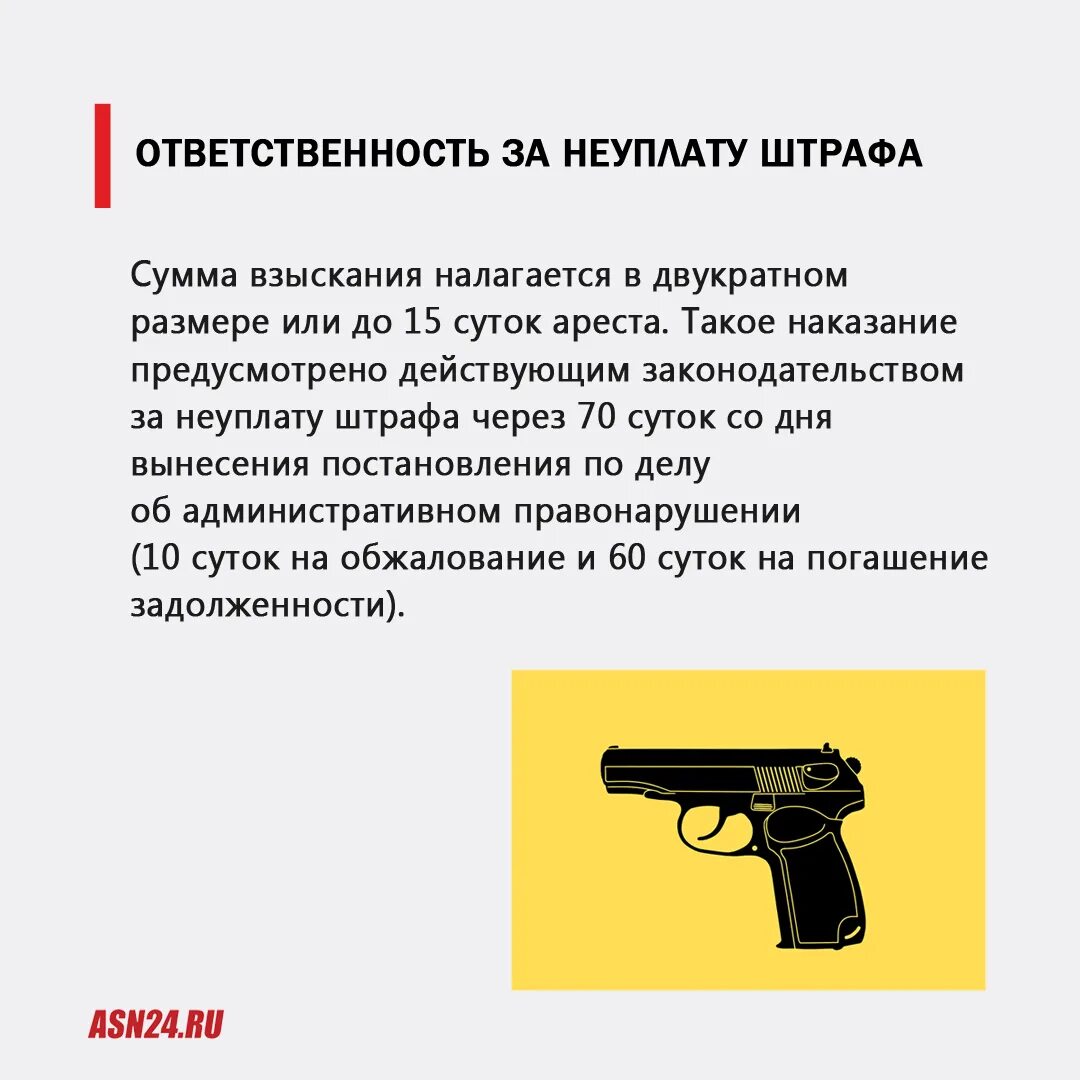 Правило владение оружием. Основные правила владения оружием. 5 Правил владения оружием. Плюсы и минусы владения оружием. Право владения оружием