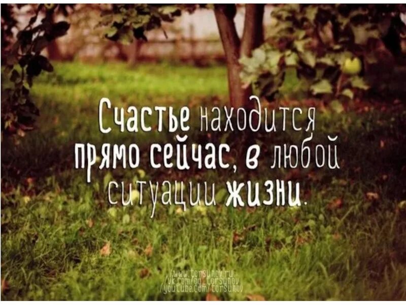 Живи в моменте здесь. Счастье здесь и сейчас. Счастье живет здесь и сейчас. Счастье здесь и сейчас цитаты. Счастье быть здесь и сейчас.