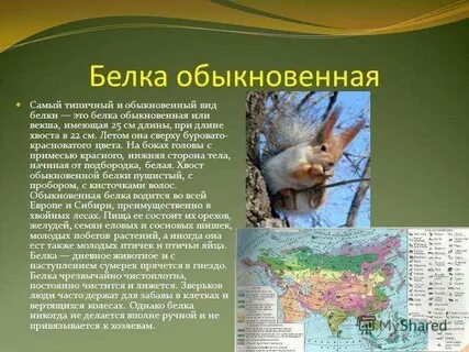 Температура белка