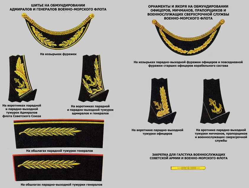 Знаки отличия на военной форме. Расположение шевронов на форме ВМФ. Офисная форма офицера ВМФ шевроны. Элементы обмундирования ВМФ России. Нарукавные знаки офицеров ВМФ.
