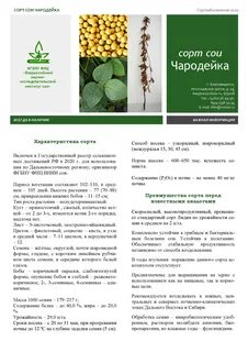 Описание сортов сои