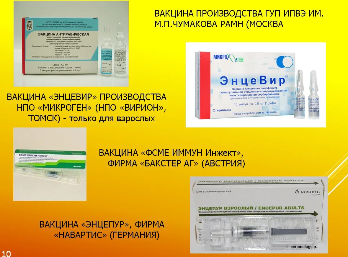 Как называется прививка от клещевого энцефалита. Вакцина клещевого энцефалита чумакова ревакцинация. вирус клещевого энцефалита вакцина. клещевой энцефалит вакцина схема. ghbdbdrf jn &#039;ywta.