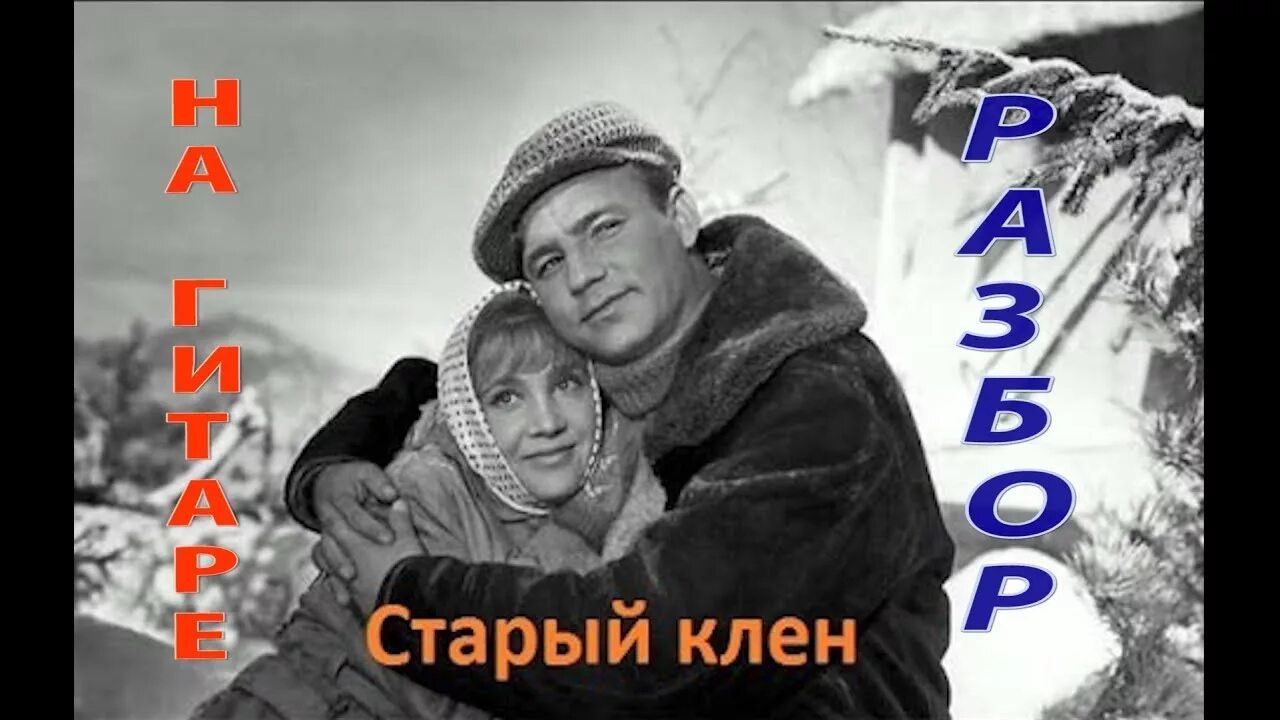 Песни старый клен. Старый клен слова. Старый клен девчата. Старый клён слова текст. Старый клен стучит текст