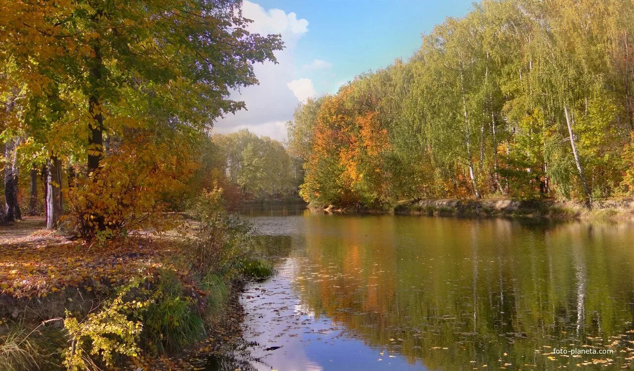 Родной край нижегородской области. Автозаводский пейзаж Нижний Новгород. Природа Нижегородской области. Осень в Нижегородской области. Нижний Новгород природа летом.