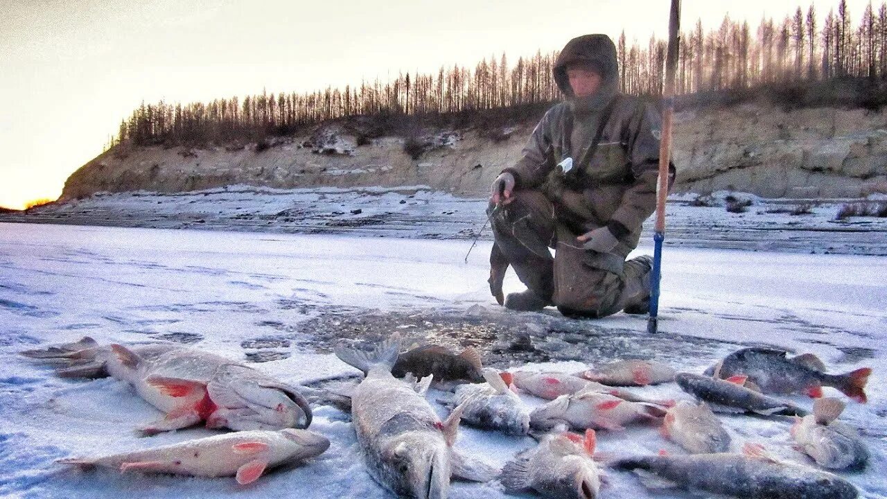 Бешеный клев. Якутия рыбалка 2020 видео. Первый лед в Якутии рыбалка 2020. Зимняя рыбалка в Якутии 2021. Первый лед 2020 зимняя рыбалка в Якутии.