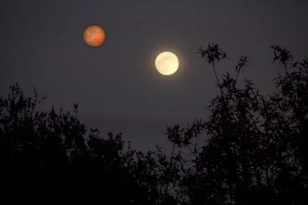 луна полумесяц. молодой месяц. луна. полумесяц 3д модель. полумесяц.
