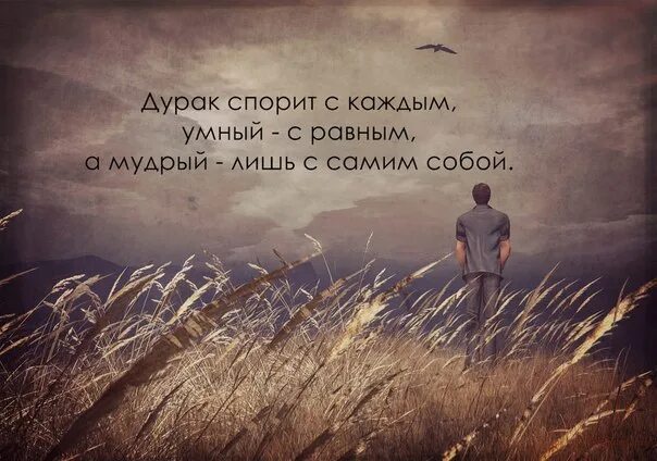 Цитаты про дураков. Афоризмы про дураков. Умный человек не спорит. Доказать афоризм. Цитаты о спорах.
