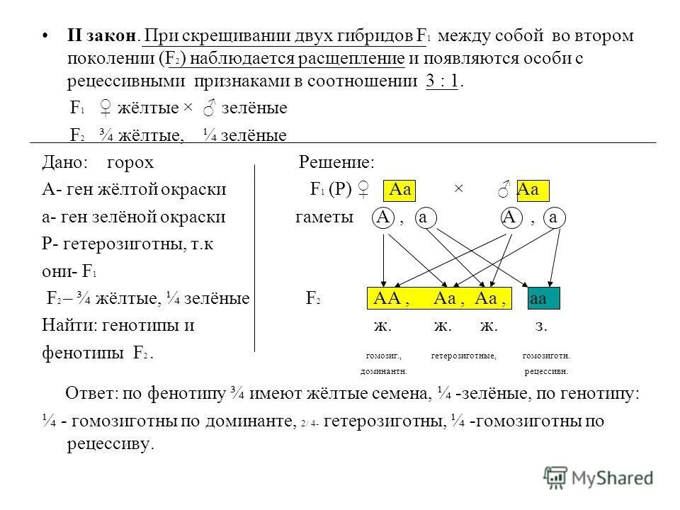 Скрещиваться между собой и давать. Скрещивание в генетике. 2 закон менделя расщепление. При скрещивании гибридов первого поколения между собой. При скрещивании между собой чистопородных белых кур.