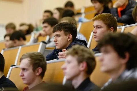 сфу нефтегаз