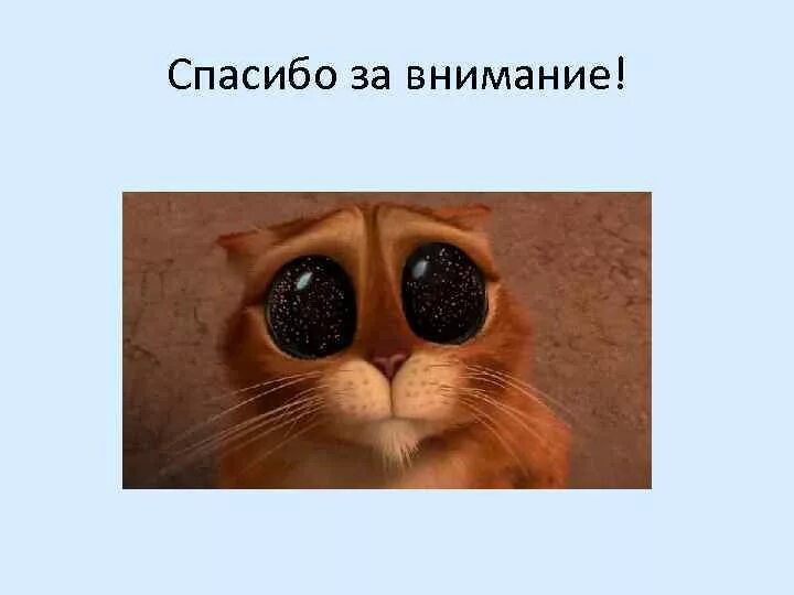 Мемы с котами для презентации Home improvement #glasses cat with glasses, korean glasses, yoongi glasses, sun