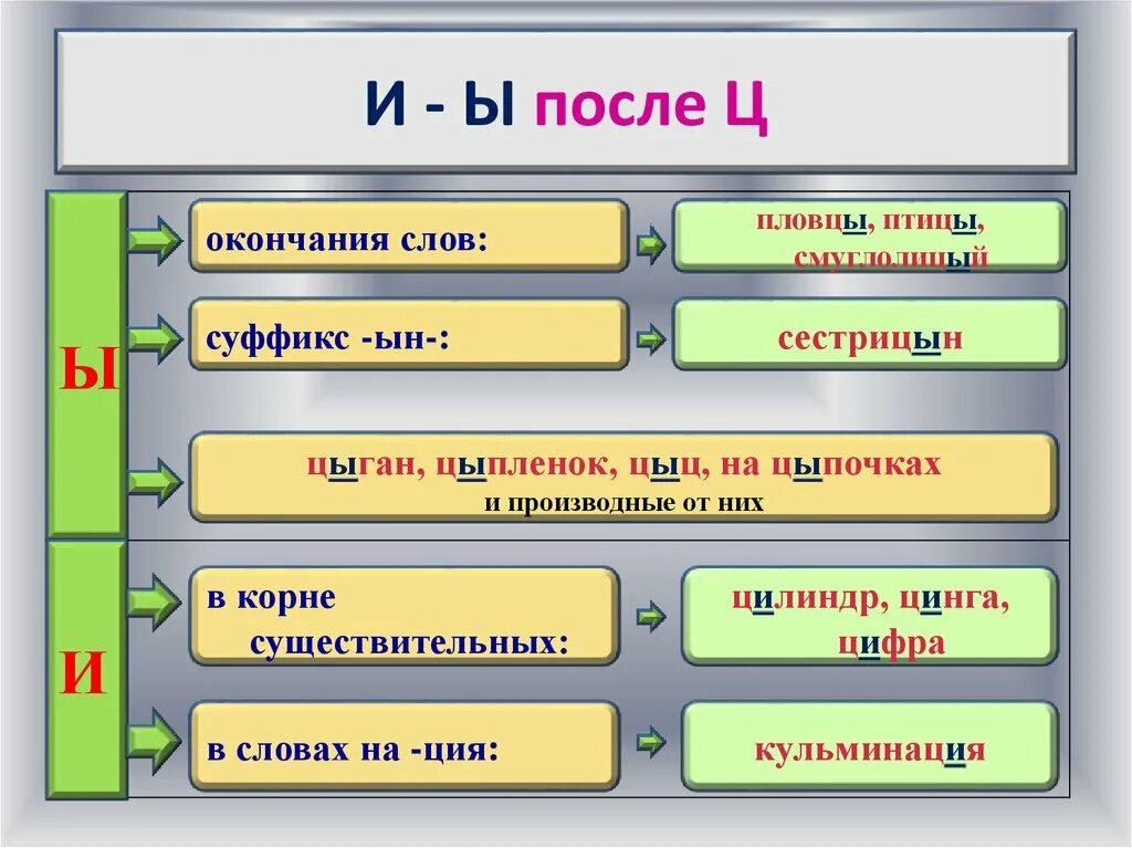 Правописание и ы после шипящих ц. И Ы после шипящих. Буквы и ы после шипящих и ц. Гласные после ц правило. Правописание ы/и после ц в корне.