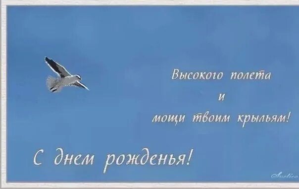 Пусть вырастут крылья. Философские поздравления с днем рождения. С днём рождения мужчине философские поздравления. Поздравления с днём рождения флосрфские. Поздравление с днём рождения филосовское.