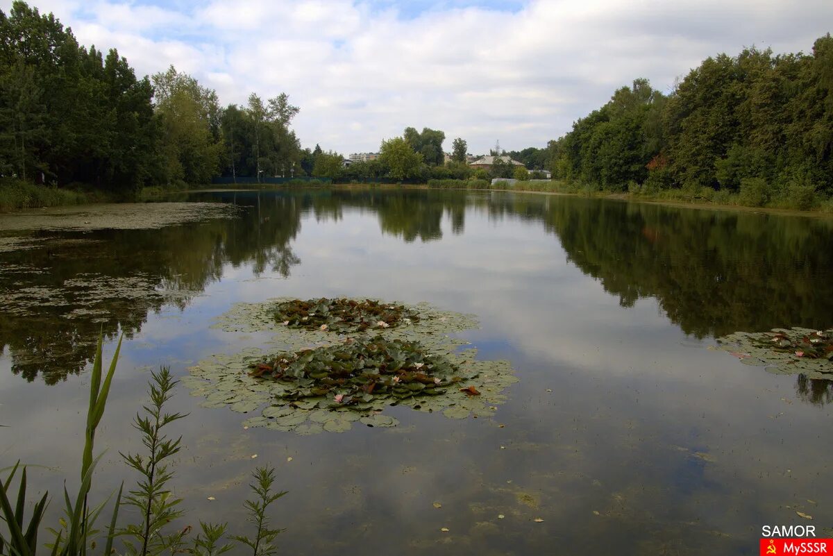 салтыковка пруд. золотой пруд балашиха. васильевский пруд салтыковка. салтыковка пруд. пруд салтыковка рыбалка.