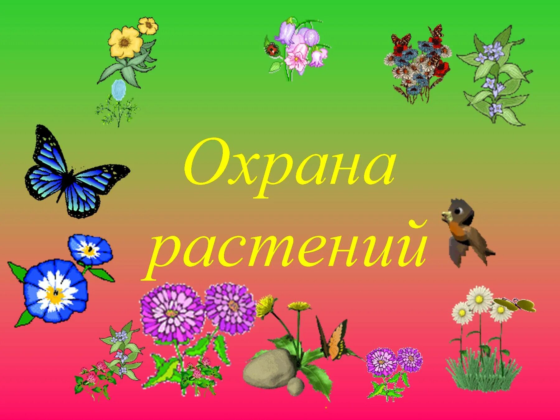 Тема охрана растений. Охрана растений. проект охрана растений. окружающий мир охрана растений. охрана растений 3 класс.