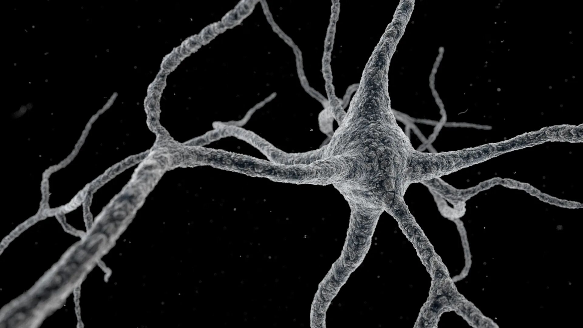 Серые клетки мозга. Нейроны мозга. Сеть нейронов. Нейрон красивый. Естественный Нейрон фото.