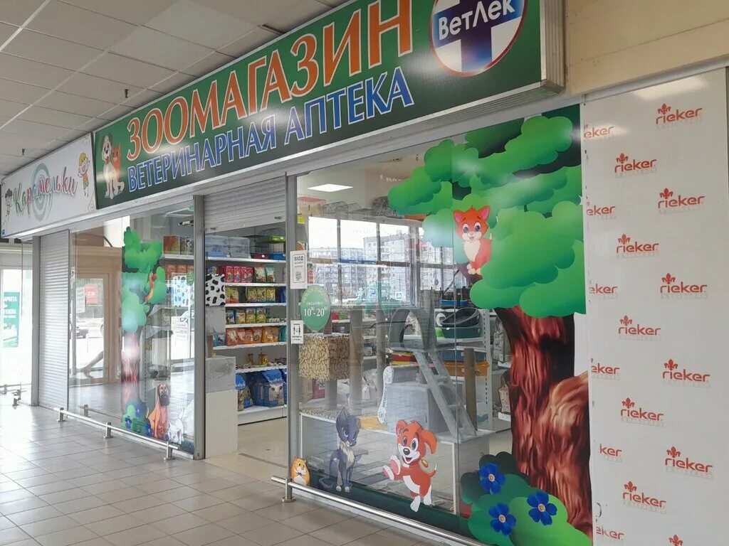 ригла аптека липецк. аптека ригла лого. липецк ул катукова 23. аптеки липецк катукова. катукова 42 липецк.