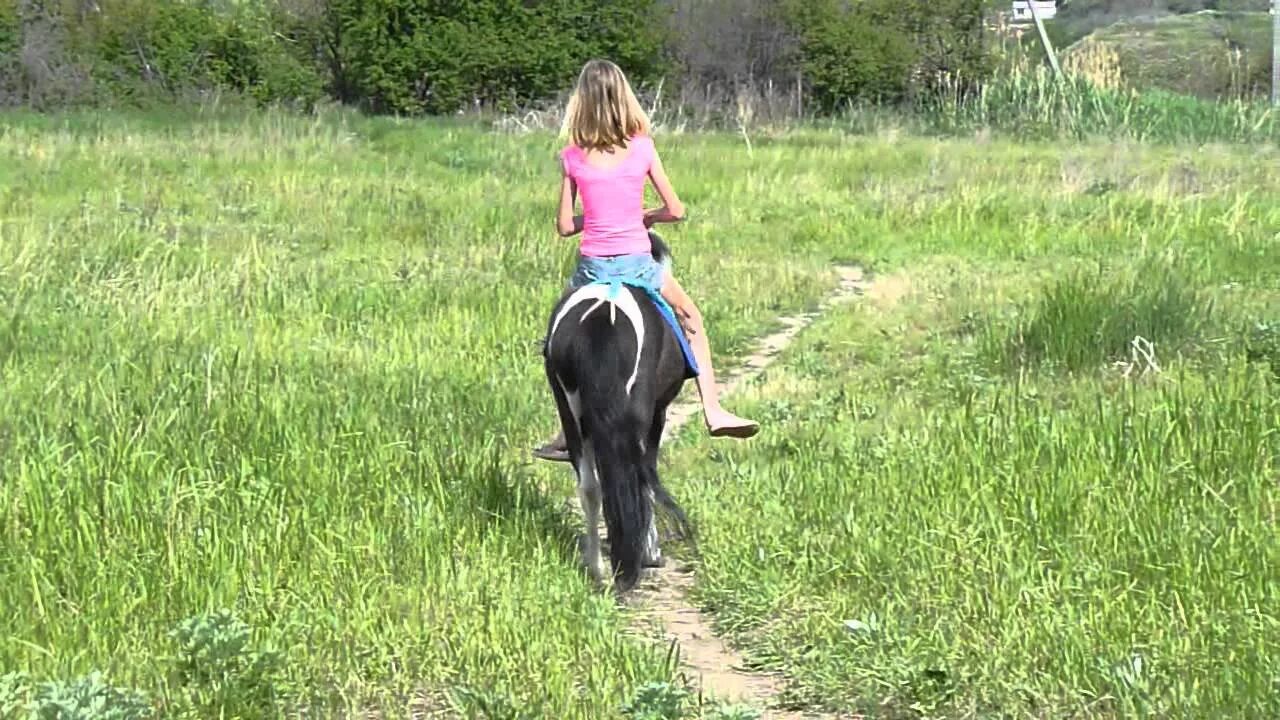 КСК Казачок Брянск. Девушка верхом на собаке. Дети верхом на собаке. Езда верхом на человеке.